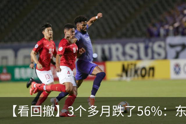 【看回撤】3个多月跌了56%：东方阿尔法基金百万持有人何去何从？
